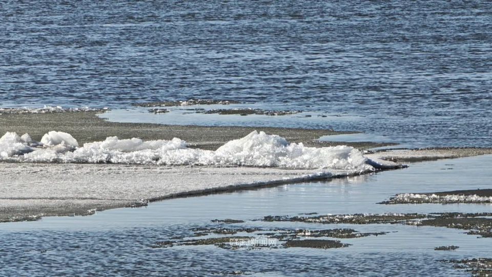 松花江哈尔滨段开始跑冰排