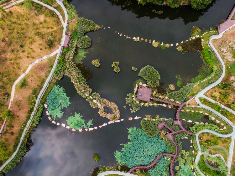 区青木关镇沙坪坝区青木关镇管家桥村青木湖,水青岸绿,风光旖旎,湖水