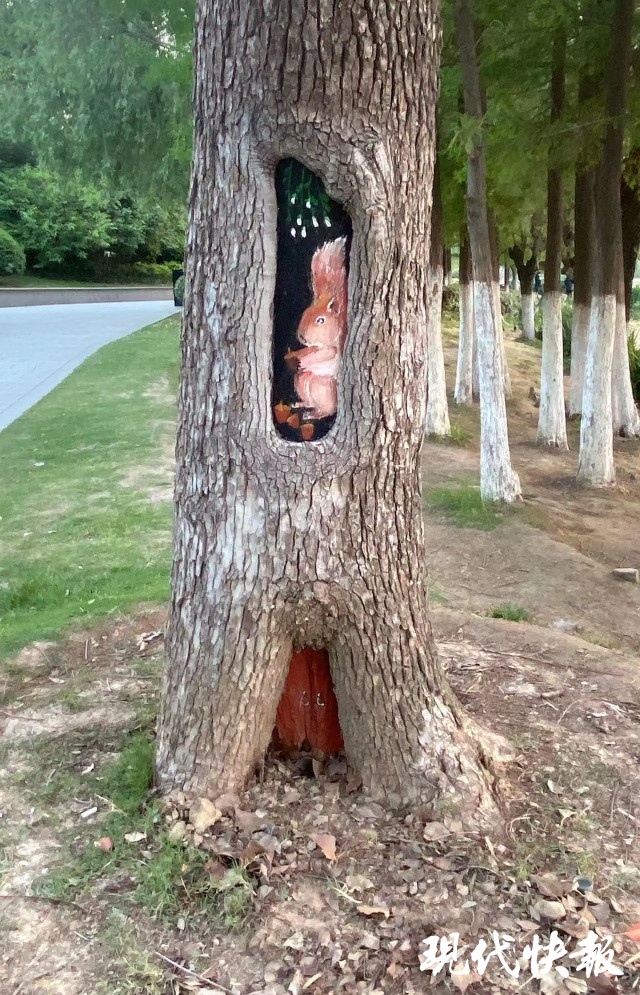 超萌"树洞画"引网友点赞
