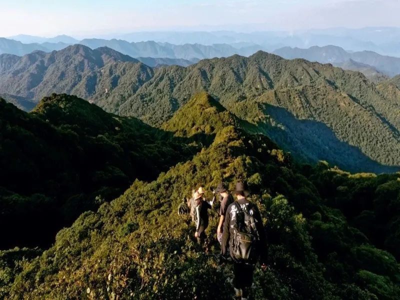 【周末游普洱攻略】这个夏天来普洱,"city不city啊"?