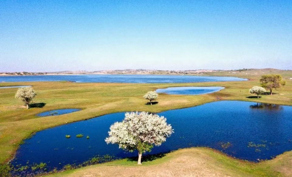 也要去浑善达克大环线正蓝旗站!