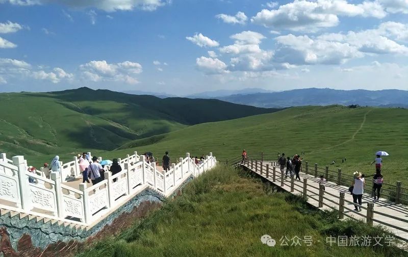 行走丨高原草甸春坤山