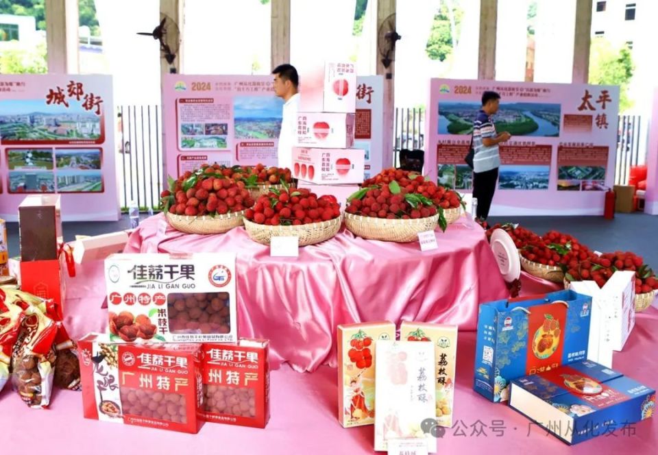 2024年广州从化荔枝节丨"以荔为媒",助力"百千万工程"产业招商结硕果