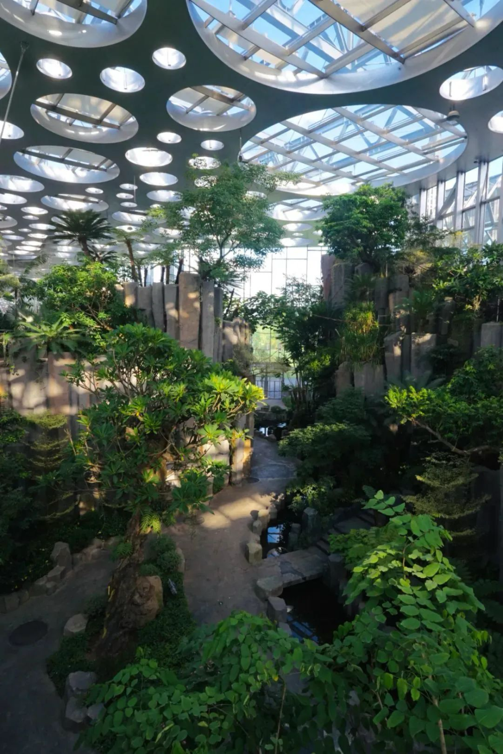 耗时7年,大师手笔,揭秘亚洲最大玻璃温室花园