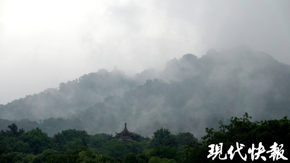 雨中紫金山仙气袅袅,宛若动感的水墨画