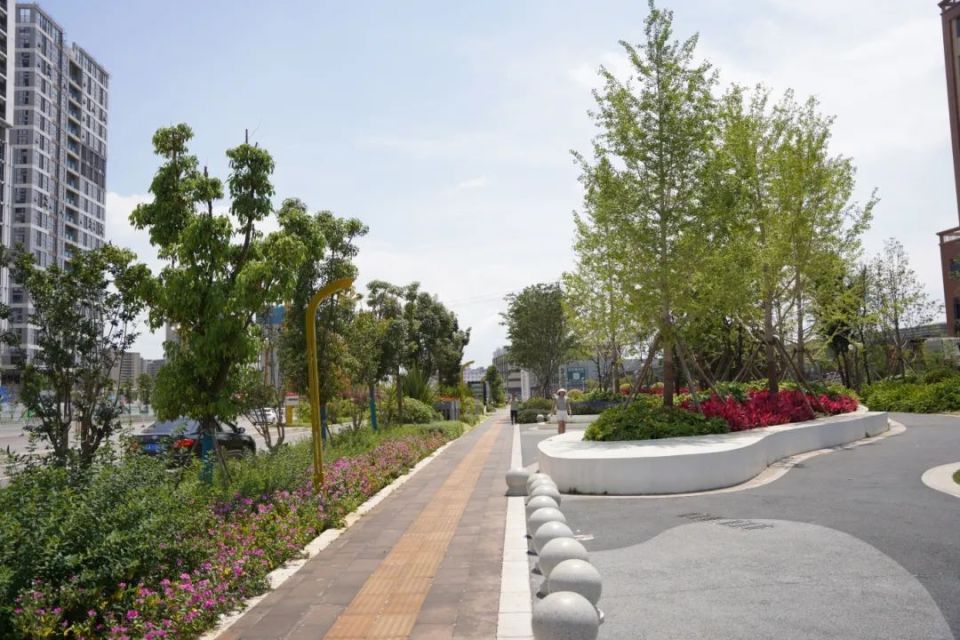 花漾斗南·向美而行 | 金桂街沿线弱电通信线路迁改完工