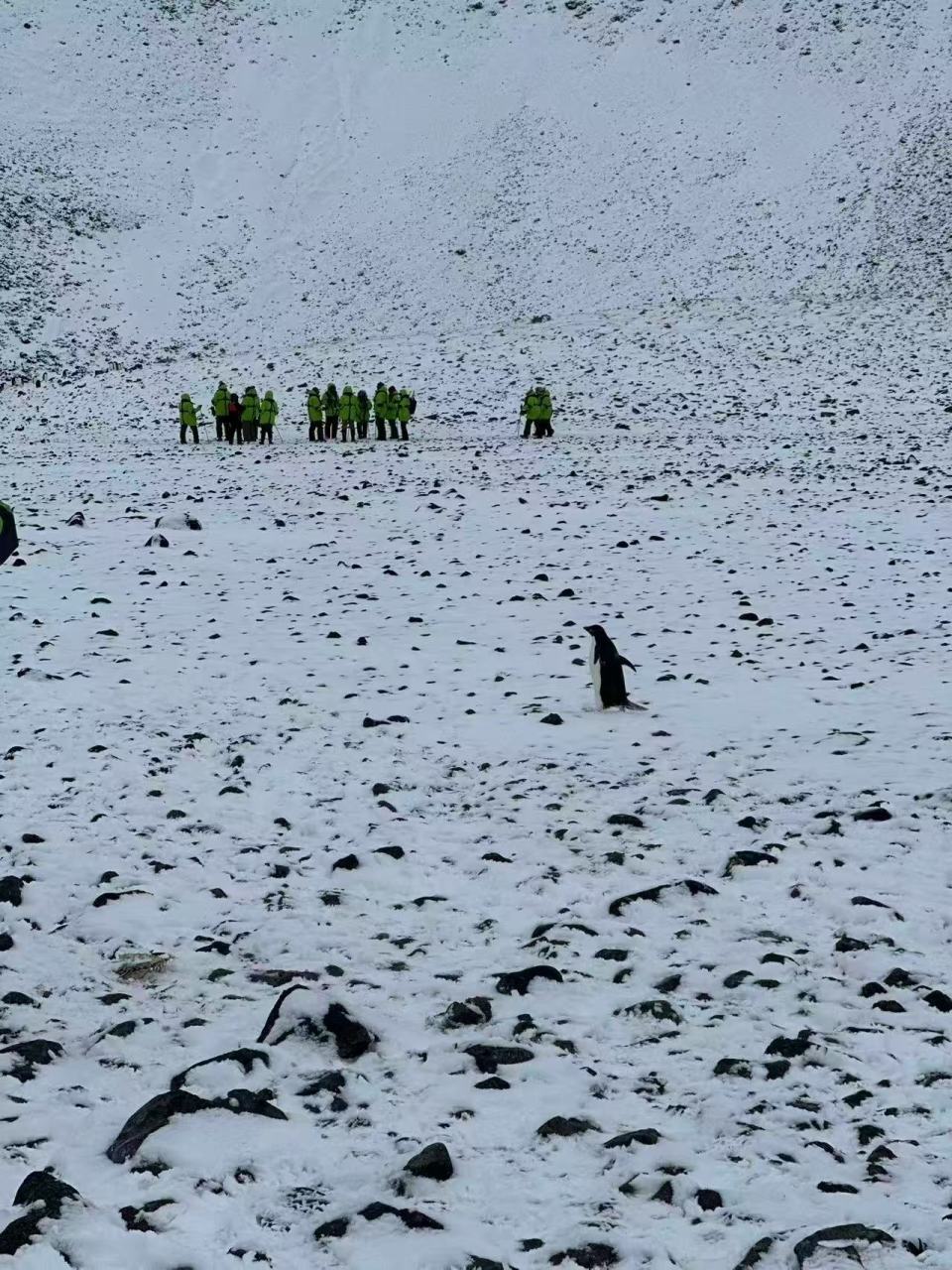 女子花费1万美元赴南极旅游 刚下飞机行李没了