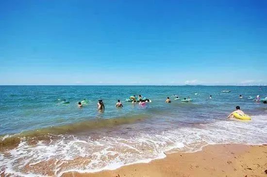 赶海有多"上头",来营口就知道了!