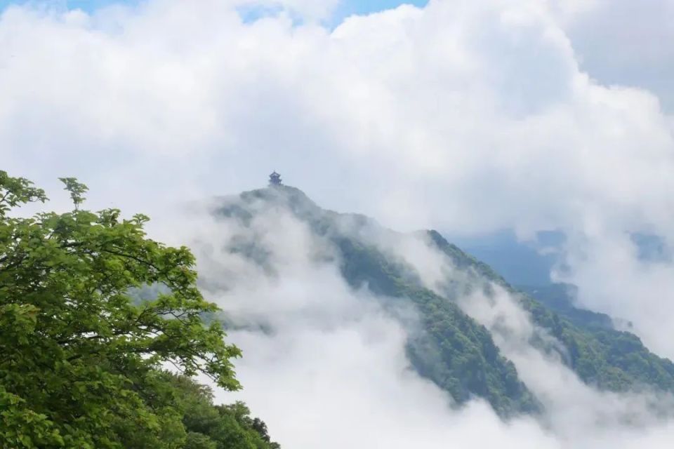 假期最后一天,快来云端仙境看场云海吧!