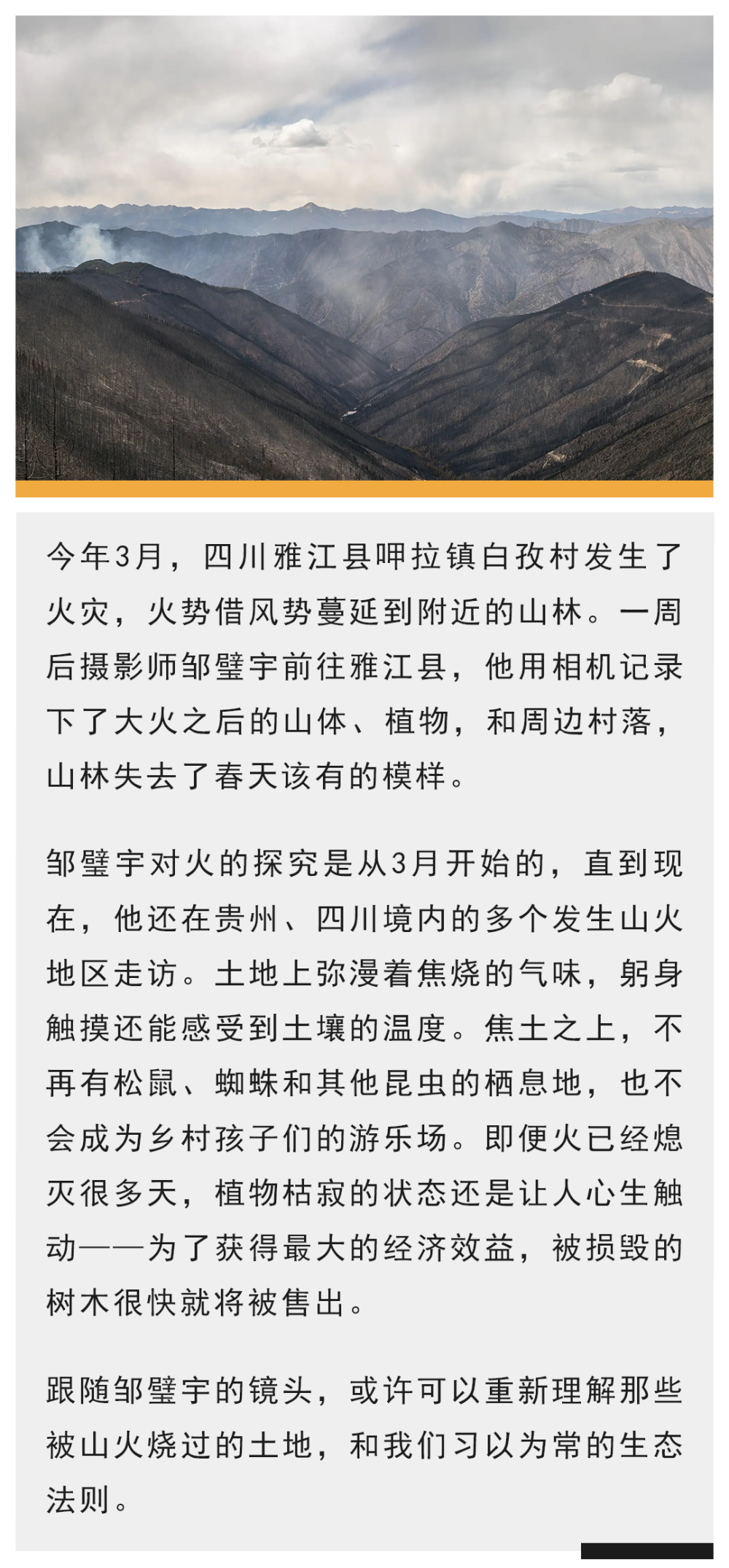 山火之后,失去的春天