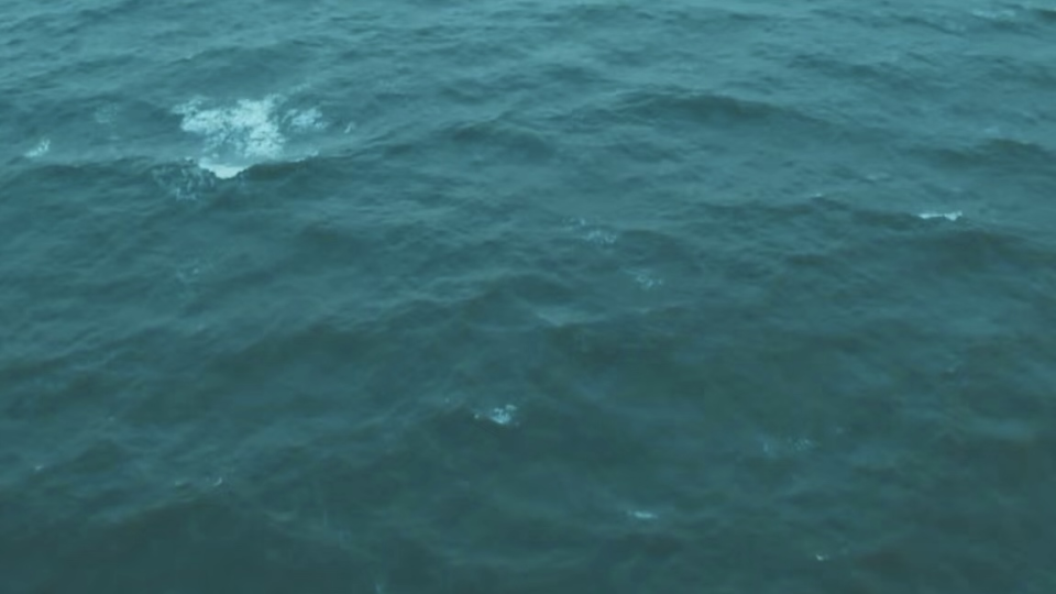 我站在深渊旁,所幸未曾坠落_腾讯新闻