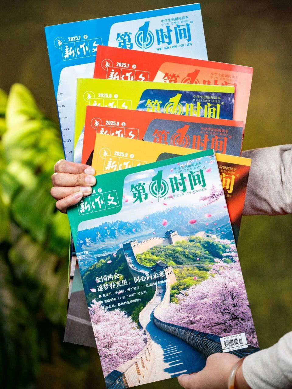 图片
