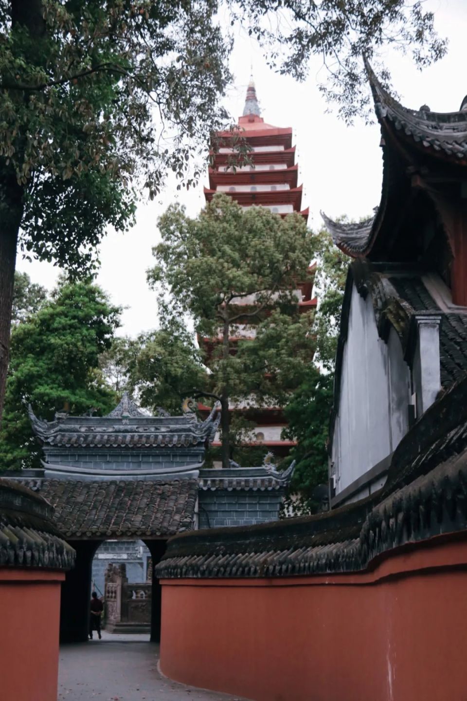 火了百年的宝光寺素斋,值得吗?