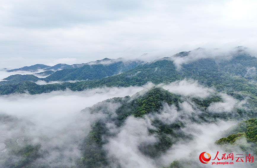 云南江城:雨后山色 美如水墨画