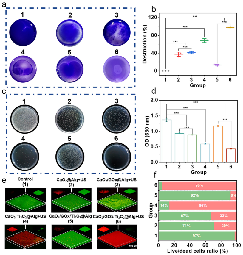医用抗菌水凝胶怎么用南京工业大学AFM：新型可注射水凝胶为糖尿病脓肿治疗提供级联抗菌新策略_https://www.jmylbn.com_新闻资讯_第7张
