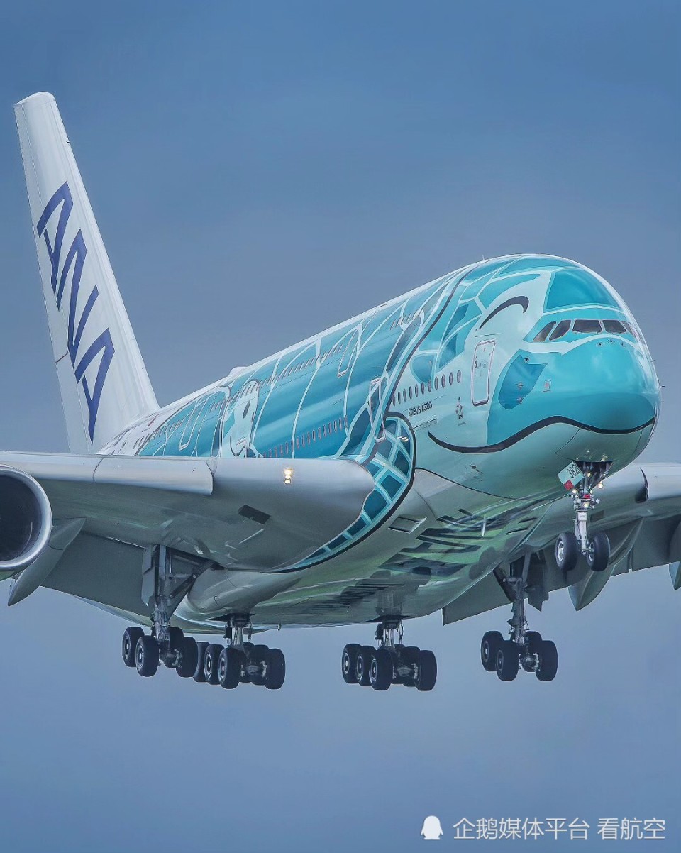 全日空a380海龟涂装,这架飞机在"微笑".