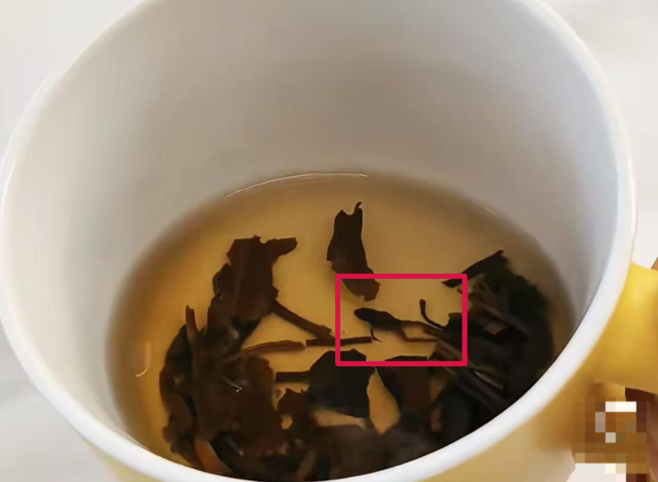 奈雪茶包惊现青蛙尸体！企业该担何责？责任主体咋界定？
