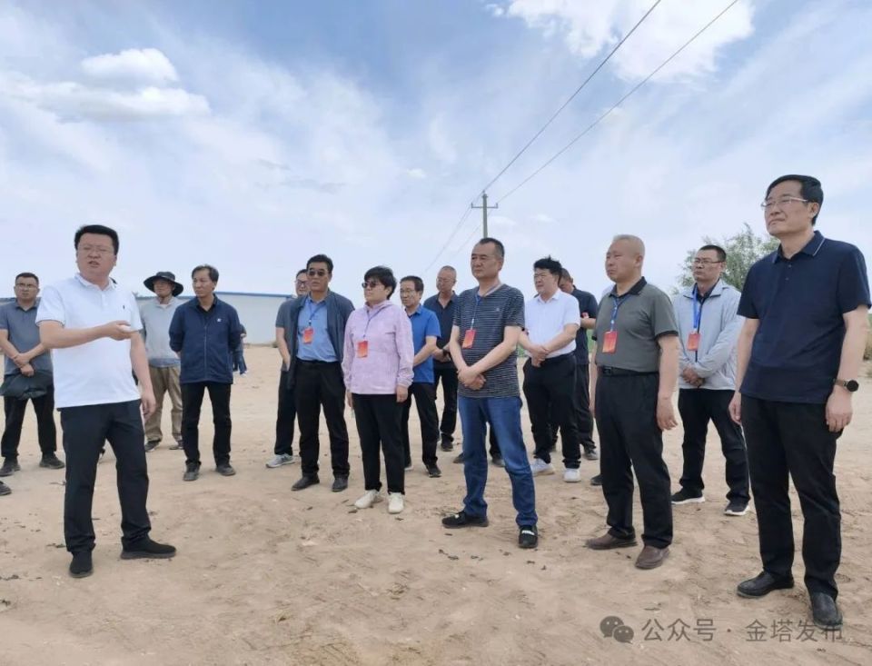 视察组先后实地查看了疙瘩井农场,大庄子镇条湖滩,鼎新镇铁路东滩和
