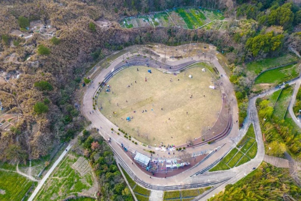 良渚矿坑公园的大草坪回来了,山上却一副"南泥湾"模样,令人唏嘘_腾讯