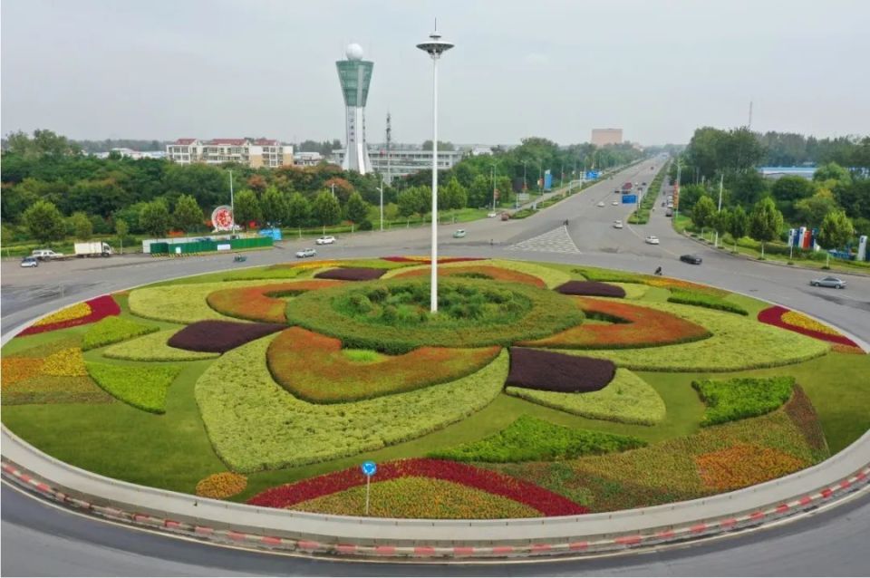 33万盆草花添彩,漯河双节"气氛组"已就位!_腾讯新闻