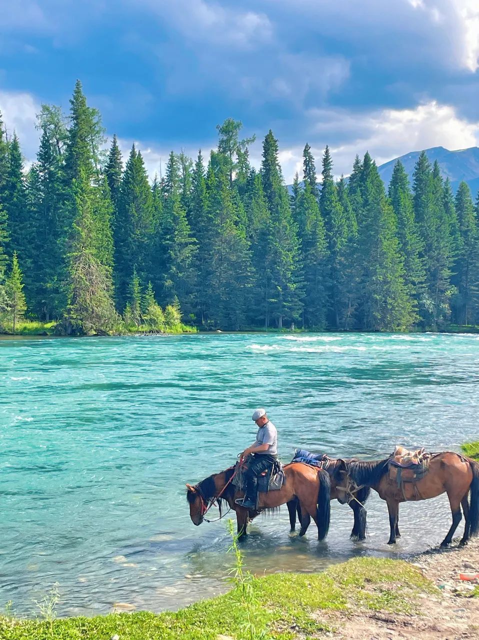 我的阿勒泰,没有班味儿