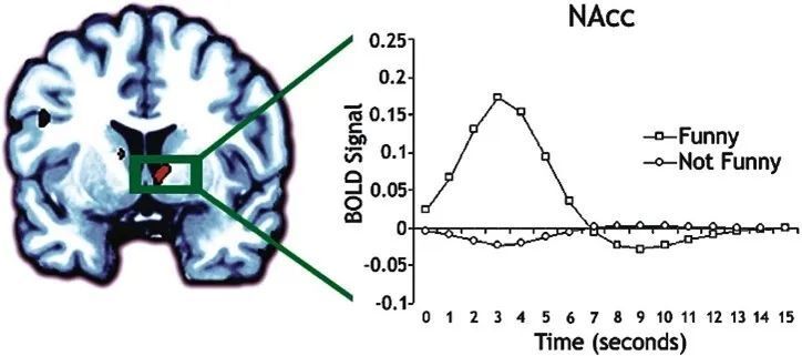 谐音梗是烂梗吗?
