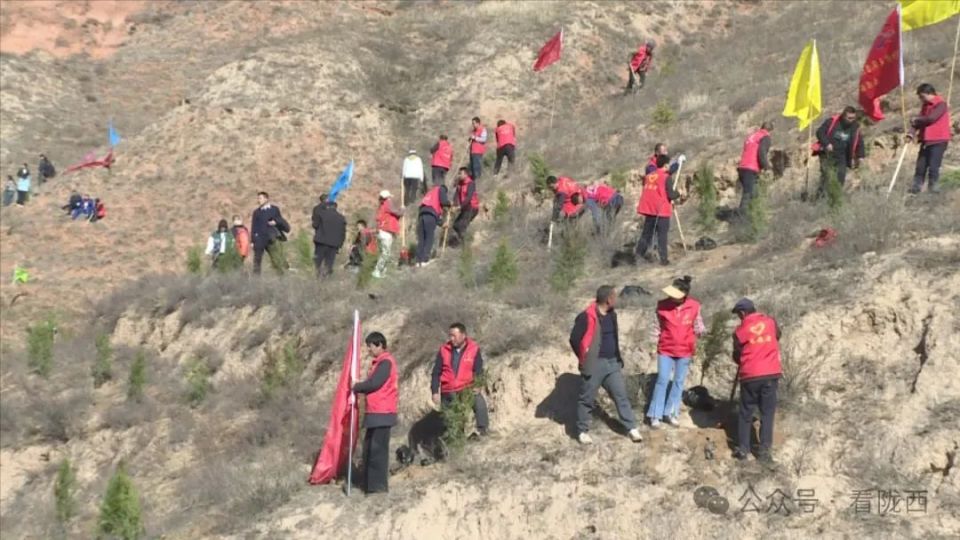 陇西首阳镇今年计划植树20余万株_腾讯新闻