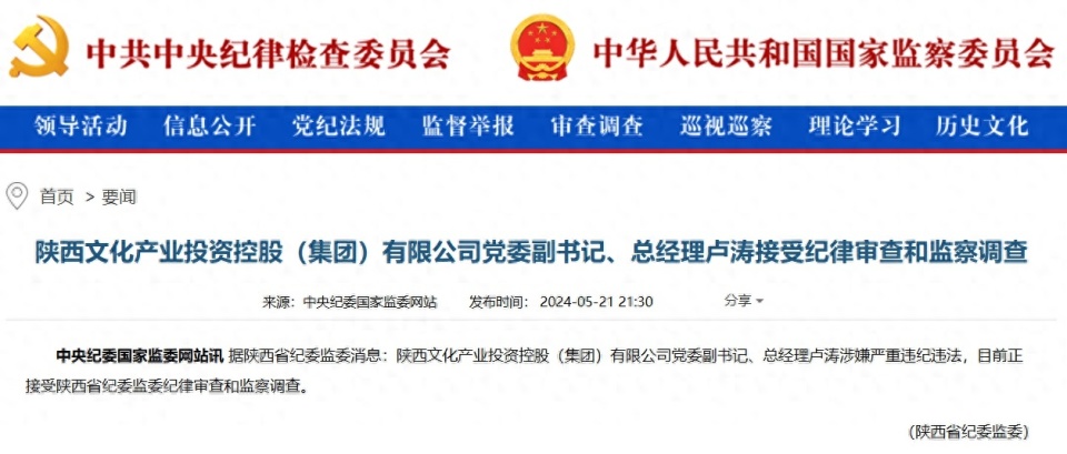 陕西文化产业投资控股(集团)有限公司党委副书记,总经理卢涛接受审查