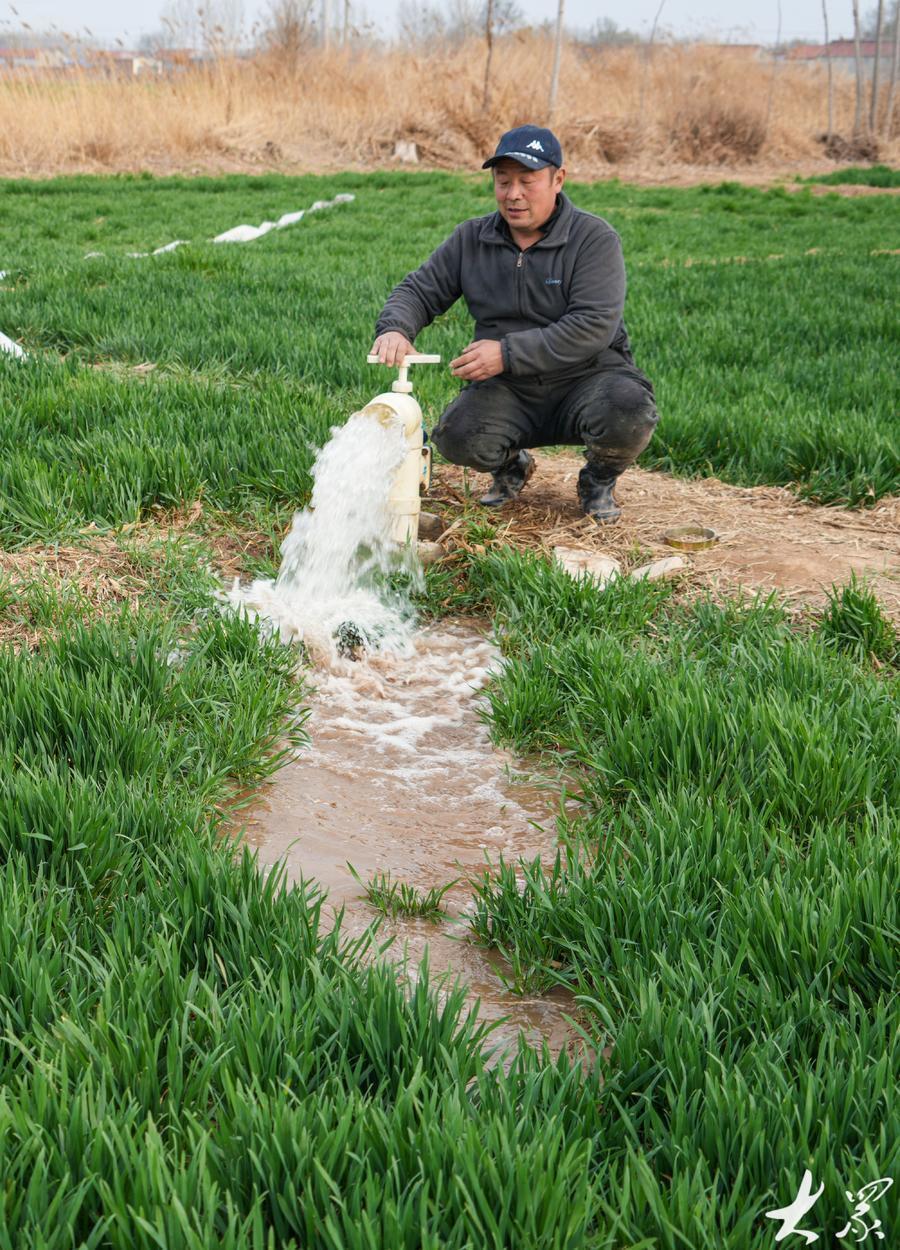 在乐陵市郭家街道高标准农田地头,农民使用泵站管道节水灌溉设备浇水