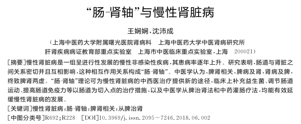 肾病患者为何更易出现肠胃问题？肠-肾轴理论或许能解答