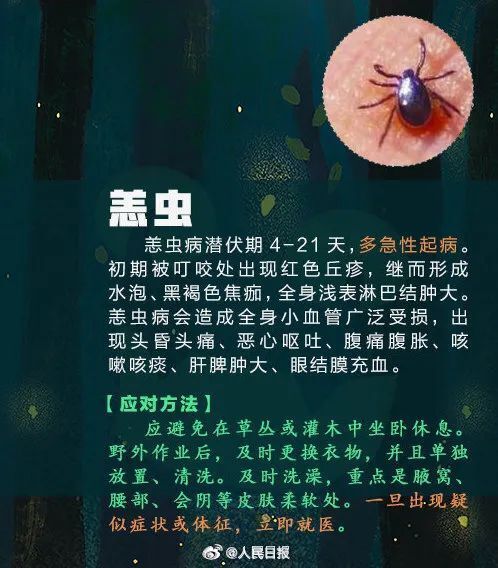 奇痒无比!南宁人夏天要当心这小虫,攻击性很猛!