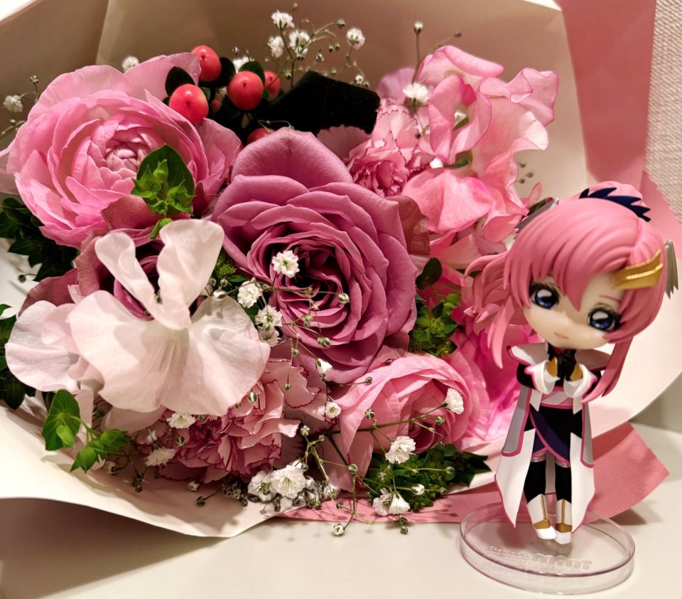 高达seed声优田中理惠为拉克丝庆生粉丝赶紧出魅魔驾驶服cos