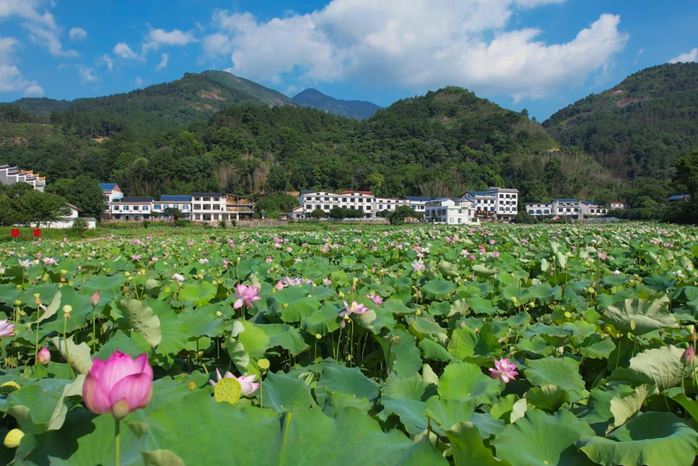 南岳水帘洞图片