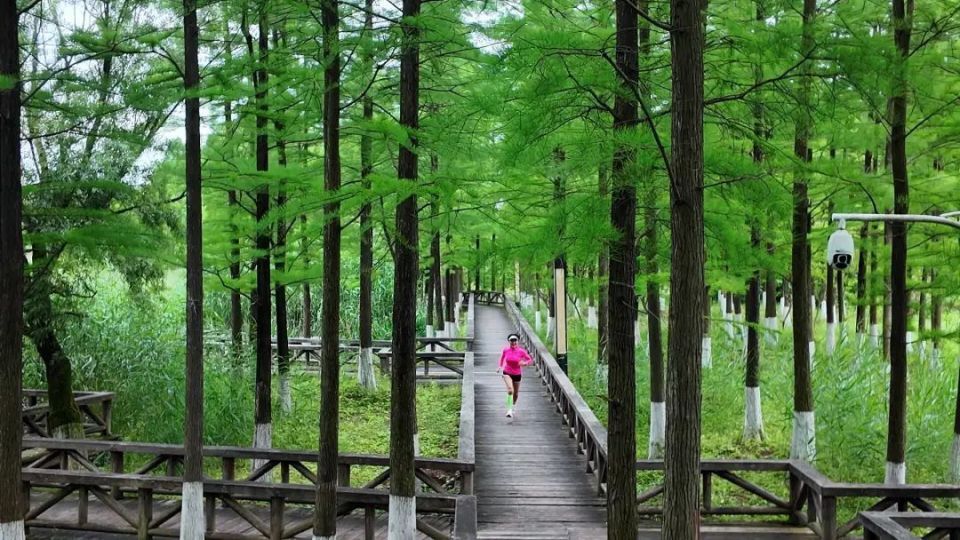 遵义旅游生态圈|罗拉快跑· 破圈行动之魅力新蒲