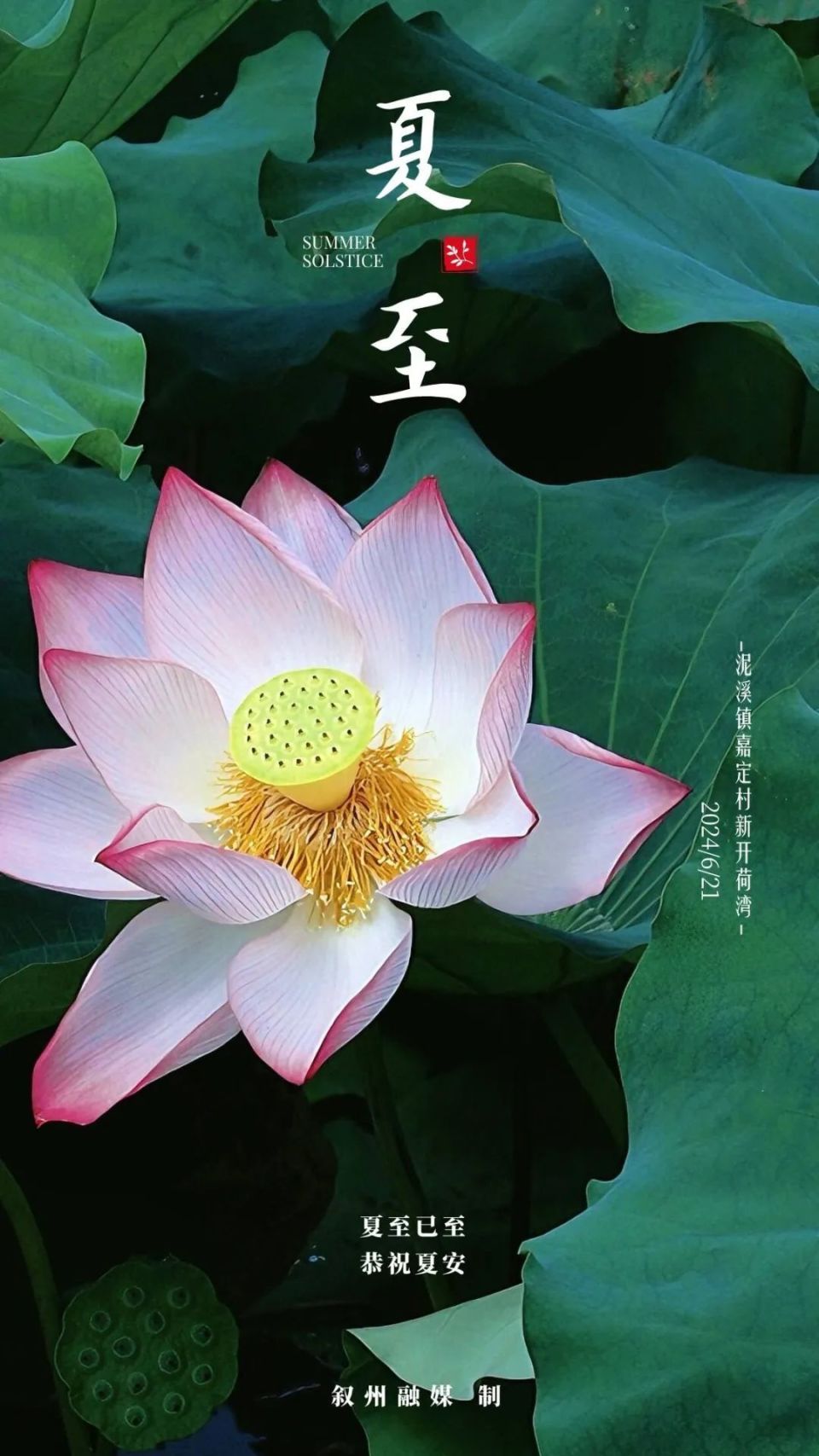 【高清海报】二十四节气|夏至