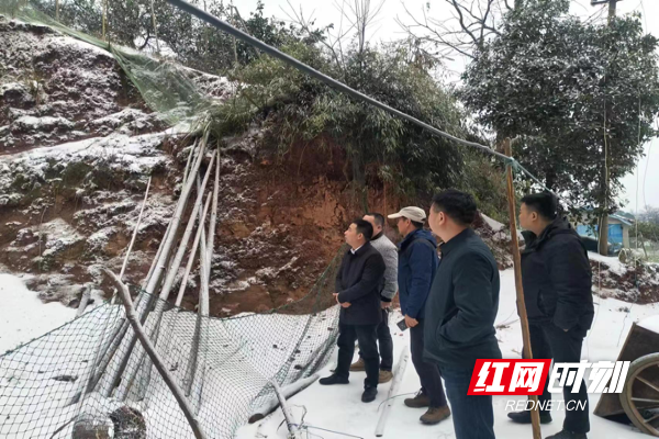 益阳市自然资源和规划局检查指导沅江市地质灾害防治工作