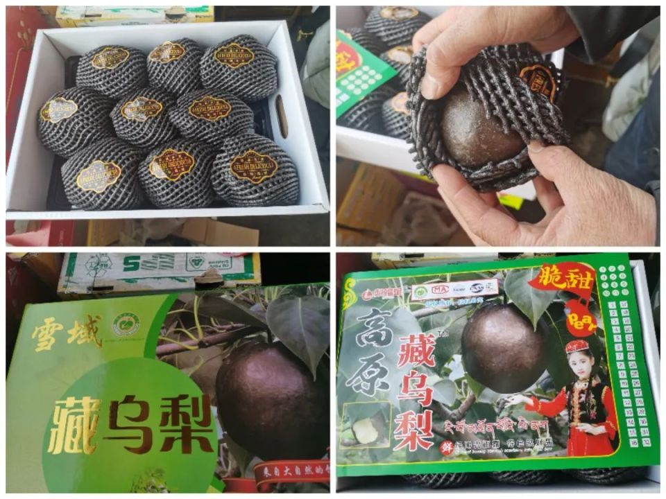 “藏乌梨”火了，专家却称“国内无此物种”，记者实验：梨皮是这样变黑的——_腾讯新闻