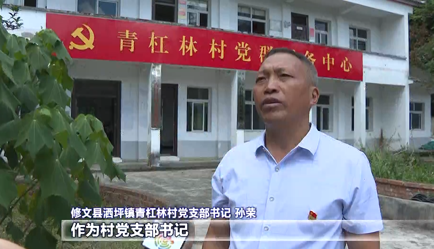 在修文县洒坪镇青杠林村的天麻种植基地现场,村民们正在对成熟的天麻