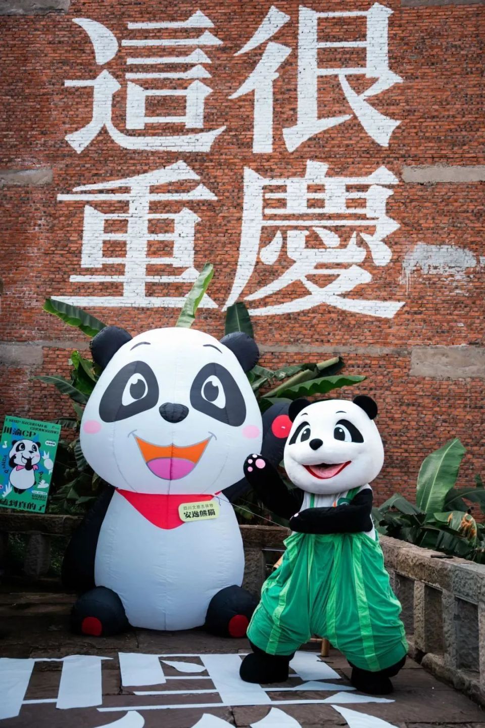 安逸空降重庆发糖,属于川渝人民的喜糖