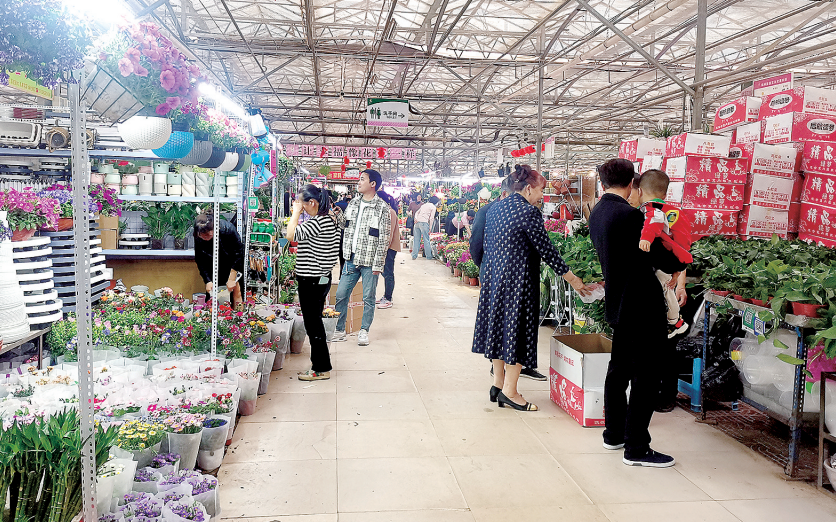 郑州西区花卉市场图片