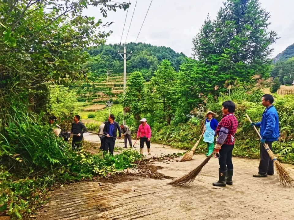 织金县化起镇:"六个一"推动"五步法",激活乡村治理"一池春水"_腾讯