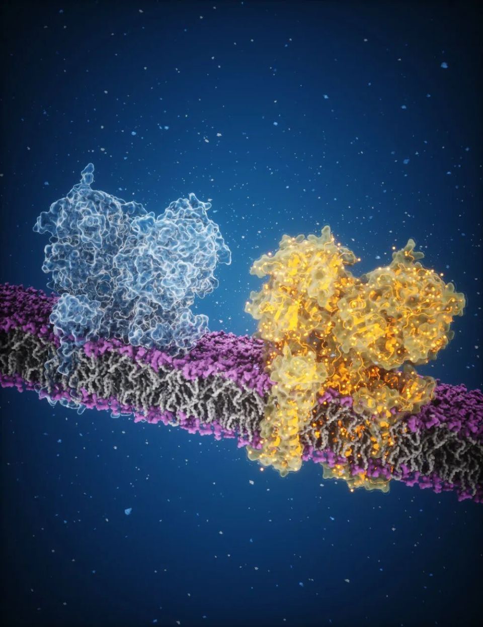 心电图机器怎么看追问weekly ｜ 过去一周，脑科学领域有哪些新发现？_https://www.jmylbn.com_新闻资讯_第2张