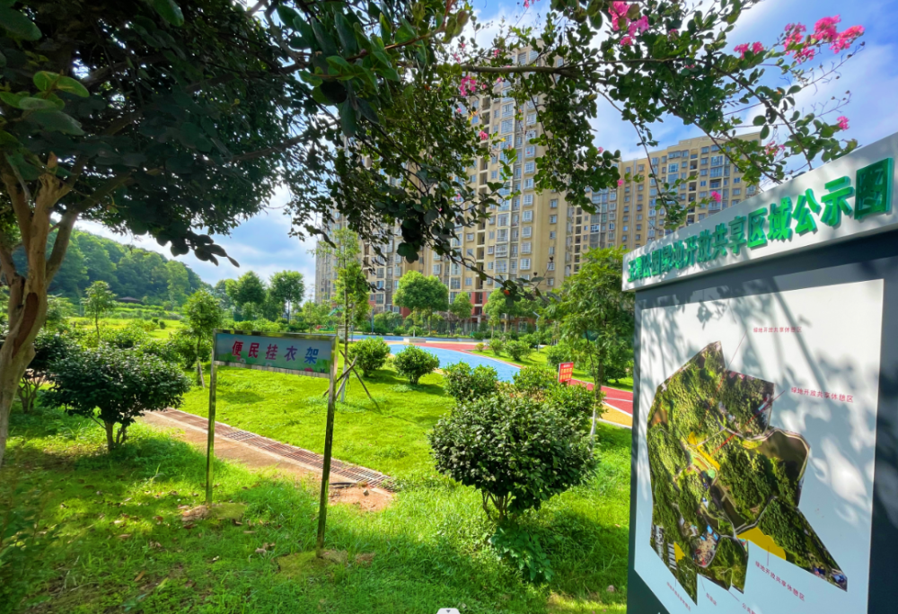 露营野餐放风筝长沙宁乡首批公园绿地共享试点开放啦