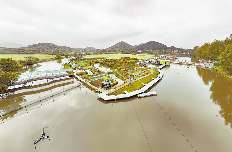 马鞍山雨山区:激活产业动力 赋能乡村振兴