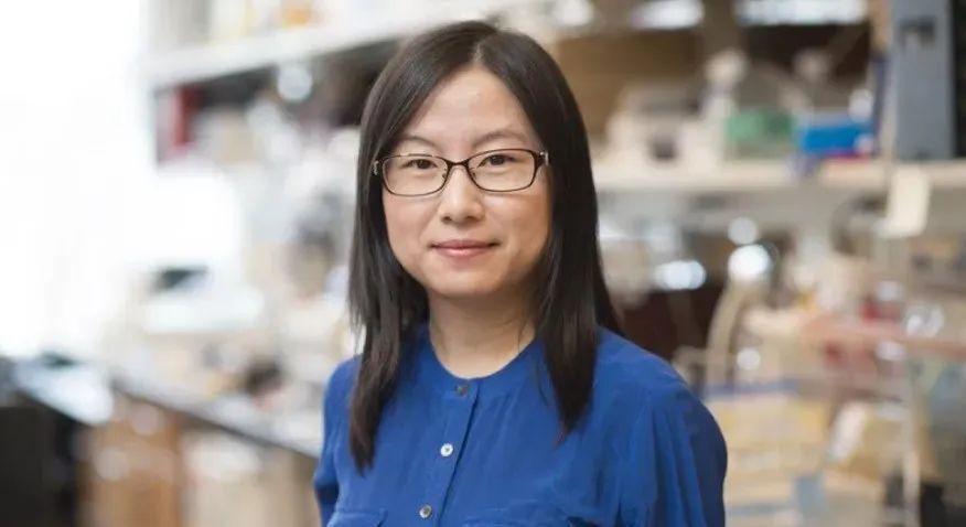 nature激活sting通路防止癌症转移和复发第一作者胡婧将回国加盟北京