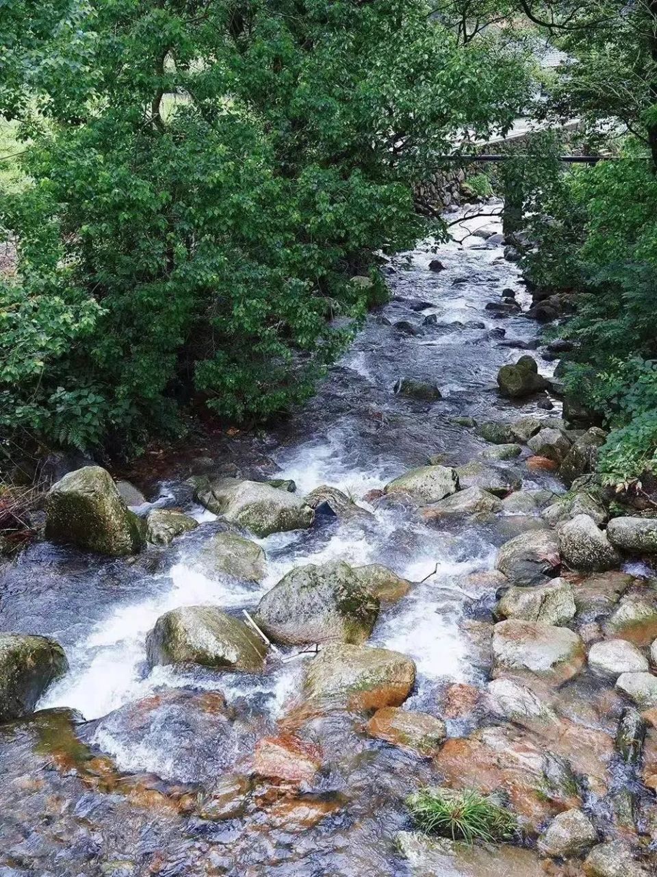 又有水口水库"撑腰"心中有山水,不如先往水口去清凉