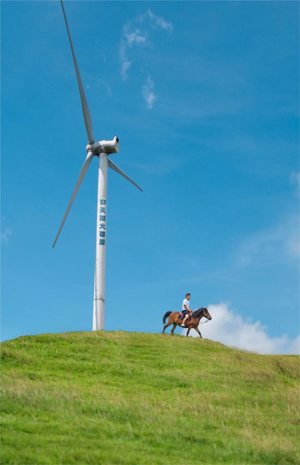 来仰天湖露营!好city啊!