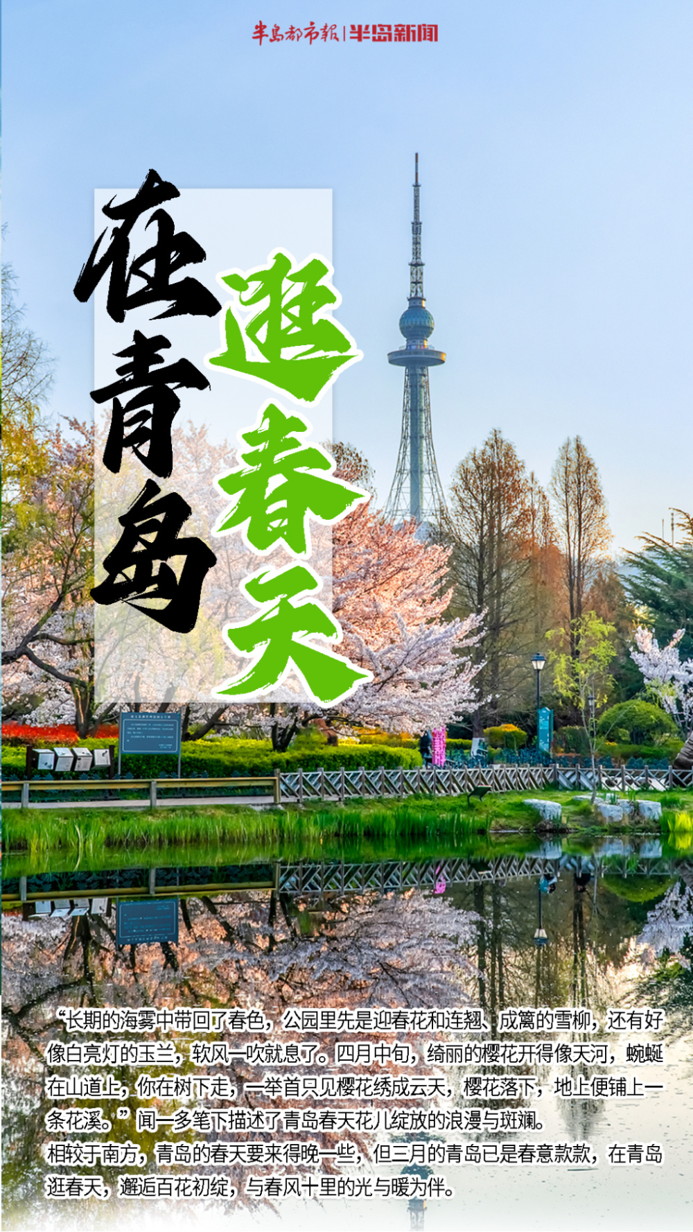 青岛春景丨在青岛,逛春天!东风一夜绿千重,百花次第香正浓