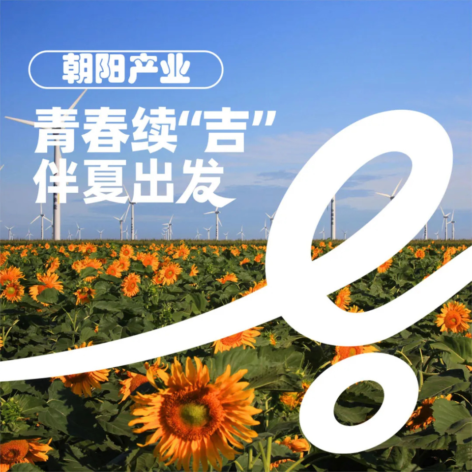 无限可能,绚烂多彩的续集更是那部充满它不仅是对我们共同未来的美好