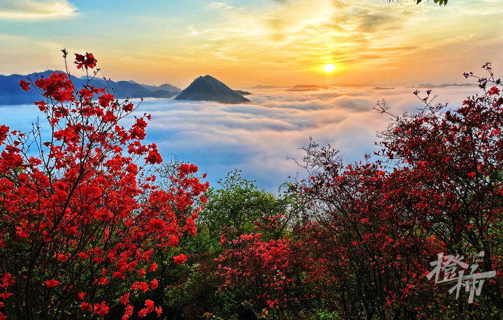 不止浮云岭,还有云台山,九仰坪,万春岭……这个周末去富阳看"满山红"